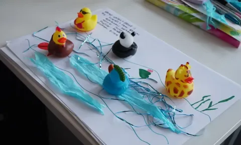 Ducks 2